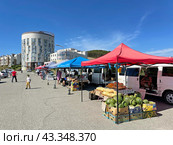 Продуктовая ярмарка выходного дня в бухте Патрокл, Владивосток. Редакционное фото, фотограф Овчинникова Ирина / Фотобанк Лори