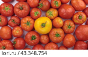 Переворачивает горку помидоров в капельках росы. Вид сверху. Rotating a pile of tomatoes in drops of dew. View from above. Стоковое видео, видеограф Александр Собко / Фотобанк Лори