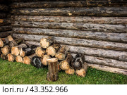 Поленница дров около деревенского дома. Сельский быт, сельский пейзаж./ A woodpile of firewood near a village house. Rural life, rural landscape. Стоковое фото, фотограф Iva Noel / Фотобанк Лори