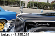 Эмблема Packard One-Twenty 1941 года выпуска. Американский автомобиль представительского класса. Выставка ретроавтомобилей в День города. Екатеринбург (2016 год). Редакционное фото, фотограф Александр Тараканов / Фотобанк Лори