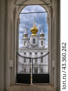 Resurrection Cathedral in Shuya, Russia (2022 год). Стоковое фото, фотограф Boris Breytman / Фотобанк Лори