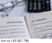 Сведения о работе. Стоковое фото, фотограф Татьяна Т / Фотобанк Лори