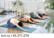 Woman doing restful pose Balasana at group yoga session. Стоковое фото, фотограф Яков Филимонов / Фотобанк Лори