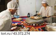 Group of skilled focused poultry farm employees sorting by size freshly picked chicken eggs on grading conveyor, labeling them and packing into cardboard trays for storage and transportation to stores. Стоковое видео, видеограф Яков Филимонов / Фотобанк Лори