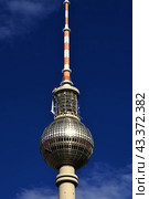 Berlin TV Tower, Fernsehturm, Germany (2015 год). Стоковое фото, фотограф Сергей Стрелков / Фотобанк Лори