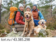 A group of people and their dogs are sitting together on a rock in the midst of nature. Стоковое AI-изображение, AI-художник Юрий Поздников / Фотобанк Лори