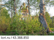 Троицкая церковь в Спас Шелупино, Ивановская область (2024 год). Редакционное фото, фотограф Ирина Яровая / Фотобанк Лори