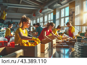 Volunteers work at a charity foundation, a refugee assistance center. Стоковое AI-изображение, AI-художник Виктория Тельминова / Фотобанк Лори