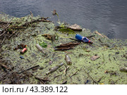 Мусор в водоёме на тине (2024 год). Редакционное фото, фотограф Федонников Никита Александрович / Фотобанк Лори