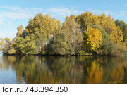 Осенний лес у озера. Берег Чистого залива. Москва. Стоковое фото, фотограф Александр К / Фотобанк Лори