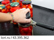 A woman salts ripe red tomatoes in glass jars, rolling up the metal lid with a machine. Preparing vegetables for the winter. Стоковое фото, фотограф Коханова Наталья / Фотобанк Лори