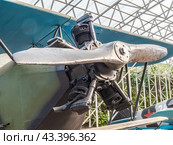 Самолет-легкий бомбардировщик У-2 ВС (По-2ЛНБ). СССР. Экспозиция боевой техники в музее Парка Победы в Москве. Техника времен Второй мировой войны (2024 год). Редакционное фото, фотограф Константин Григорьев / Фотобанк Лори