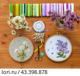Two summer floral hand embroideries with satin ribbons of lilac and daisies in hoops, bouquets of flowers on wooden table. Nearby is set of satin ribbons, needles and scissors for work. Flat lay, close-up. Стоковое фото, фотограф Виктория Катьянова / Фотобанк Лори