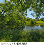 Estate of Counts Chernyshevs, Alexandrino Park. Summer panorama. Russia, Saint-Petersburg. Стоковое фото, фотограф Елена  Попкова / Фотобанк Лори