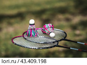 A racket and a shuttlecock on a background of green grass. Playing badminton. A summer sport. Outdoor games. Стоковое фото, фотограф Photojuli / Фотобанк Лори