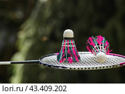 A racket and a shuttlecock on a background of green grass. Playing badminton. A summer sport. Outdoor games. Стоковое фото, фотограф Photojuli / Фотобанк Лори