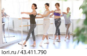 Group of beginner female dancers practicing batman tandu. Стоковое видео, видеограф Яков Филимонов / Фотобанк Лори