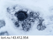 Ice hole for winter fishing. Стоковое фото, фотограф Александр Прошкин / Фотобанк Лори