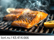 Hot smoked salmon fillet on a grill grid. Hot lox piece with steamed smoke. Black background. Salmon steak served lemon, herbs cooking grill barbecue. Grilled red fish dish. Frying trout. Menu, recipe. Стоковое AI-изображение, AI-художник Марина Демидюк / Фотобанк Лори