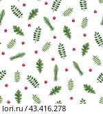 Паттерн с зелеными листьями и красными ягодами на белом фоне. Watercolor seamless pattern with green leaves, herbs and red berries. Texture for fabrics, textiles, wrapping paper. Стоковая иллюстрация, иллюстратор Карнаухова Елена / Фотобанк Лори