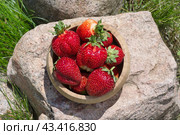 Спелая клубника в бамбуковой миске на камне в саду. Стоковое фото, фотограф Елена Коромыслова / Фотобанк Лори