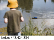 A 5-year-old boy in a yellow panama hat launches a radio-controlled boat in a pond. Children's fun and street games. Child's leisure time. Стоковое фото, фотограф Photojuli / Фотобанк Лори
