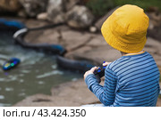 A 5-year-old boy in a yellow panama hat launches a radio-controlled boat in a pond. Children's fun and street games. Child's leisure time. Стоковое фото, фотограф Photojuli / Фотобанк Лори