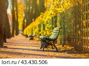 Красивая аллея в осеннем парке. Зеленые скамейки у забора и красочная желтая листва на кустах. Опавшие листья на пешеходных дорожках в саду. Осень. Стоковое фото, фотограф Андрей Степанов / Фотобанк Лори