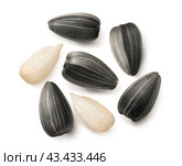 Flat lay with whole and peeled sunflower seeds isolated on white background. For cereal sets. Стоковое фото, фотограф Катерина Ковалева / Фотобанк Лори