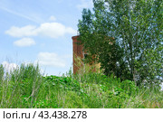 Старая башня из красного кирпича (2024 год). Стоковое фото, фотограф Роман Лукьянов / Фотобанк Лори