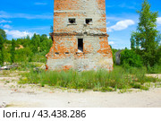 Старая башня из красного кирпича (2024 год). Стоковое фото, фотограф Роман Лукьянов / Фотобанк Лори