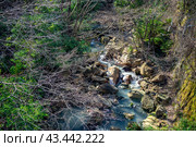Горный ручей в префектуре Канагава. Япония . Март 2024. Стоковое фото, фотограф Владимир Макеев / Фотобанк Лори