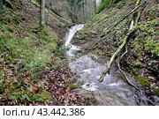 Водопад на реке Мезмайка, Мезмай, Краснодарский край. Стоковое фото, фотограф Оглоблин Андрей Николаевич / Фотобанк Лори