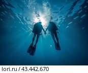 Scuba Divers Holding Hands Underwater. Стоковое AI-изображение, AI-художник Кирилл Черезов / Фотобанк Лори