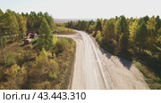 Asphalt roadway on a sunny autumn day. Road through autumn forest, aerial view. Стоковое видео, видеограф Виктория Тельминова / Фотобанк Лори
