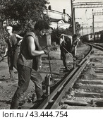 Стройотряд студенты-железнодорожники на практике, ЛИИЖТ 1963 г. Стоковое фото, фотограф Retro / Фотобанк Лори