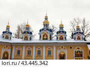 Псково-Печерский монастырь. Купола Покровской церкви. Печоры, Псковская область, Россия (2013 год). Стоковое фото, фотограф Наталья Волкова / Фотобанк Лори