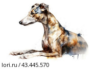 Greyhound dog in watercolor style. The dog lies with its head turned to the side, with a serious and concentrated expression on its muzzle. Her body is detailed and detailed, with visible muscles and shadows, adding realism to the image. Watercolor colors smoothly transition into each other, creating an effect of softness and airiness. There are no details in the background, allowing you to focus entirely on the image of the dog. Стоковое AI-изображение, AI-художник Анна Кривицкая / Фотобанк Лори