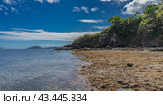 Littoral at low tide. Algae, pebbles, and puddles of water are visible on the exposed seabed. Ripples on the transparent surface of the ocean. Green vegetation on the coastal cliffs. Clouds, blue sky. Стоковое фото, фотограф Вера Ивановна Кубарева / Фотобанк Лори