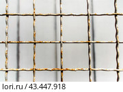 pattern old metal lattice fence. Стоковое фото, фотограф Артем Курутин / Фотобанк Лори