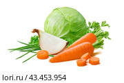 Vegetables for soup: cabbage, carrot, onion, scallion isolated on white background. Стоковое фото, фотограф Катерина Ковалева / Фотобанк Лори