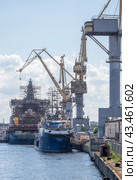 Repair of ships at the Admiralty shipyards in Saint Petersburg (2024 год). Редакционное фото, фотограф Евгений Харитонов / Фотобанк Лори