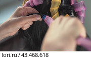 A stylist applies perm solution to a clients hair. Стоковое видео, видеограф Андрей Знаменский / Фотобанк Лори
