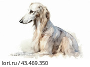 Elegant Saluki dog sitting on a light background. The dog has a long and slender figure, its coat is smooth and silky, mainly in light shades with small brown and gray markings. The dog has long, drooping ears and a graceful muzzle. Her pose is calm and balanced, her gaze directed to the side, which gives the image a sense of grace and dignity. Стоковое AI-изображение, AI-художник Анна Кривицкая / Фотобанк Лори