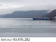 Рыбаки на резиновых лодках ловят рыбу в морской бухте около грузового морского порта. Танкер пришвартован у причала. Доставка нефтепродуктов по морю. Бухта Нагаева, Охотское море, Магадан, Магаданская область, Дальний Восток России. Стоковое фото, фотограф Андрей Степанов / Фотобанк Лори