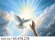 A hand and a flying white dove in the blue sky. The concept of freedom, International Day of Peace. Стоковое AI-изображение, AI-художник Виктория Тельминова / Фотобанк Лори