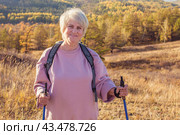 Attractive short haired middle aged woman in activewear hiking in forest using poles for nordic walking. Стоковое фото, фотограф Гладских Татьяна / Фотобанк Лори
