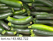 The zucchini courgette or baby marrow (lat.- Cucurbita pepo) on the counter. Стоковое фото, фотограф Irina Opachevsky / Фотобанк Лори
