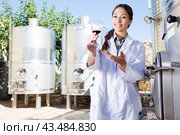Woman in white coat on the winery. Стоковое фото, фотограф Татьяна Яцевич / Фотобанк Лори