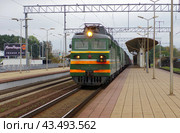 Электровоз переменного тока ВЛ80с-566 с грузовым поездом следует через остановочный пункт Масюковщина, перегон Минск-Северный — Ждановичи, БЧ (2018 год). Редакционное фото, фотограф Алексей Иванов / Фотобанк Лори